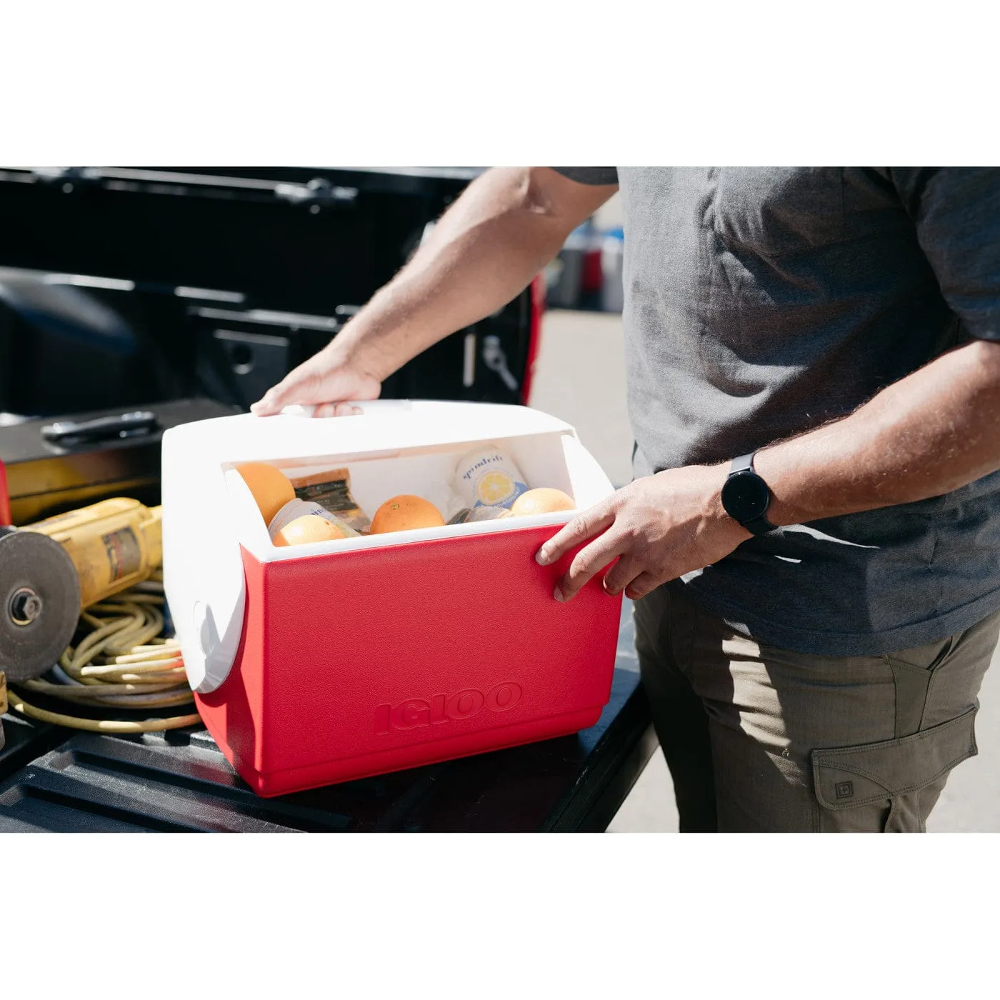 Igloo - Playmate Elite 16 Qt Cooler