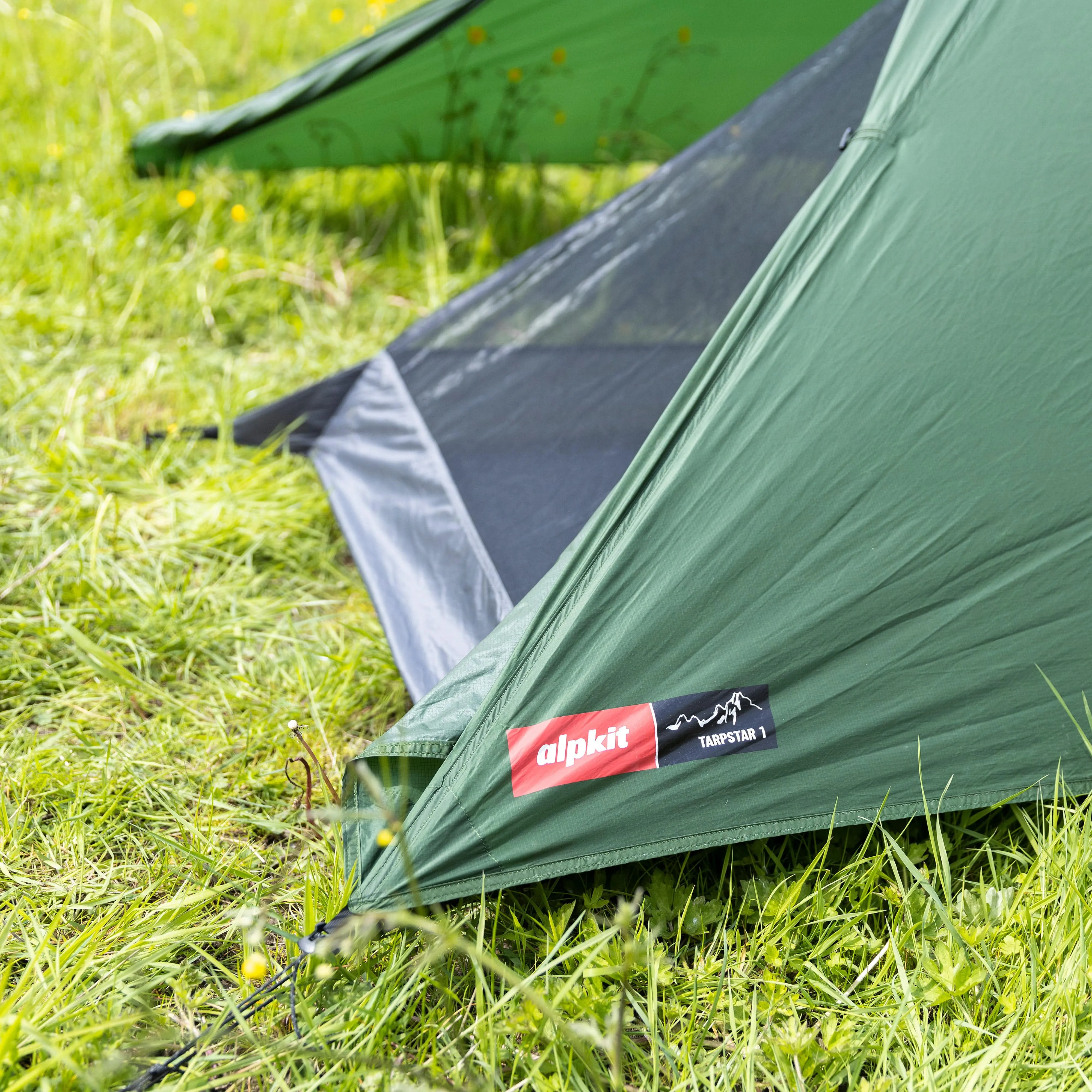 Tarpstar 1
