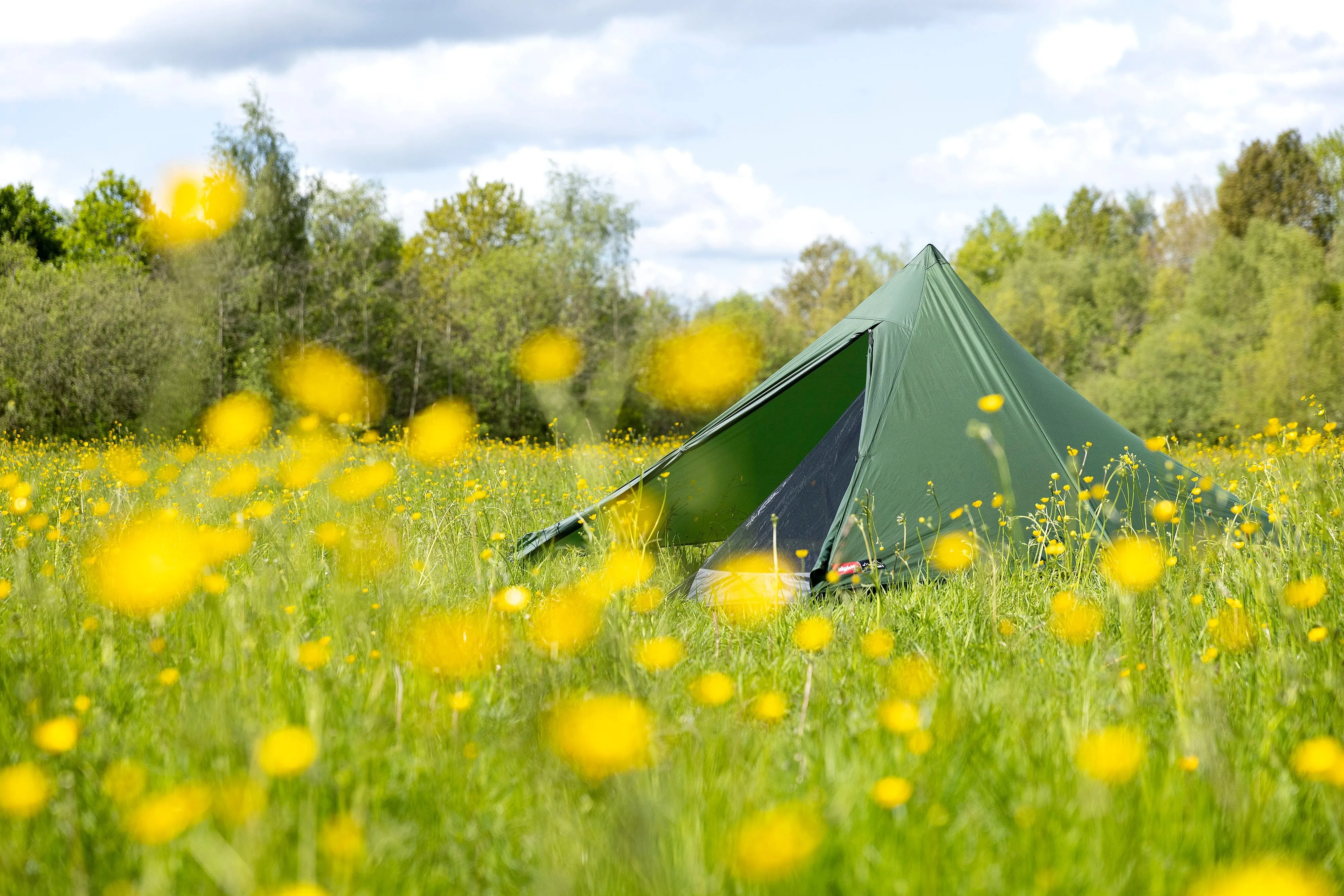 Tarpstar 1
