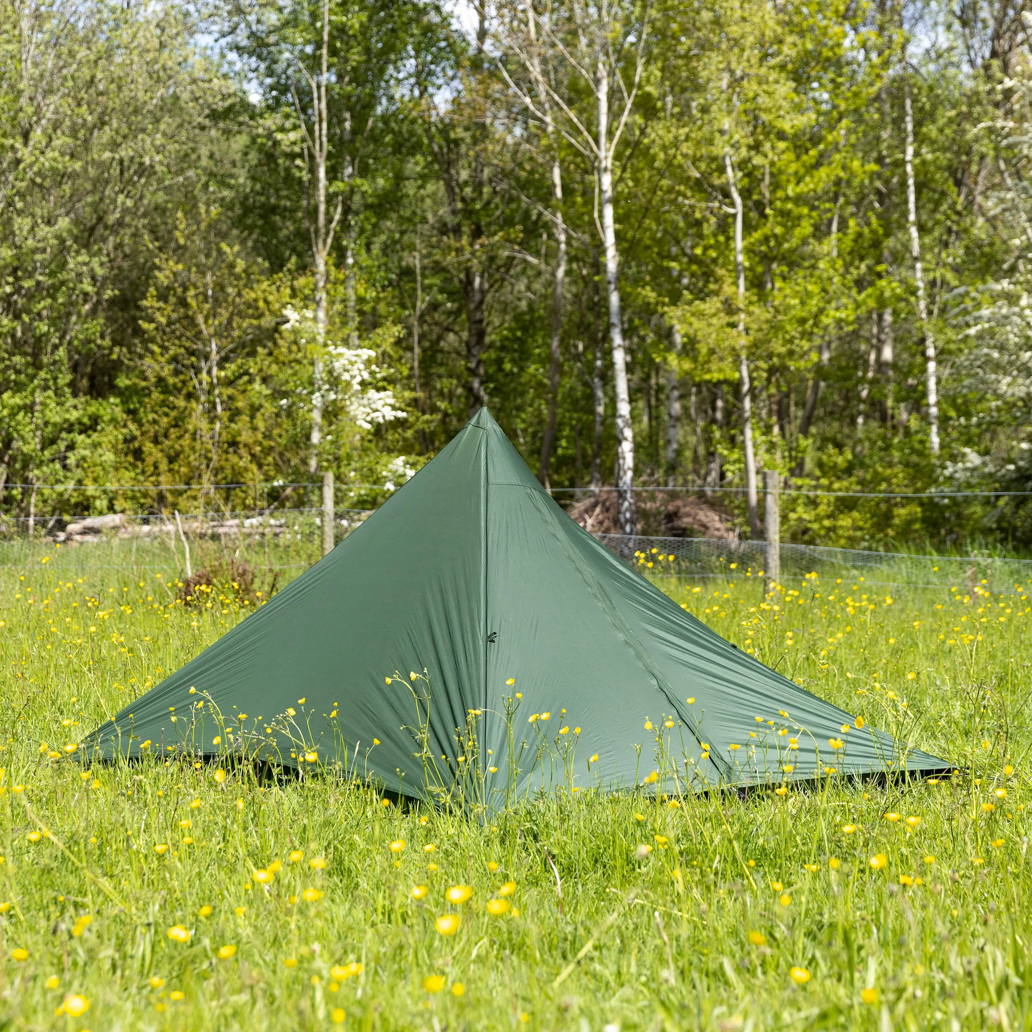 Tarpstar 1