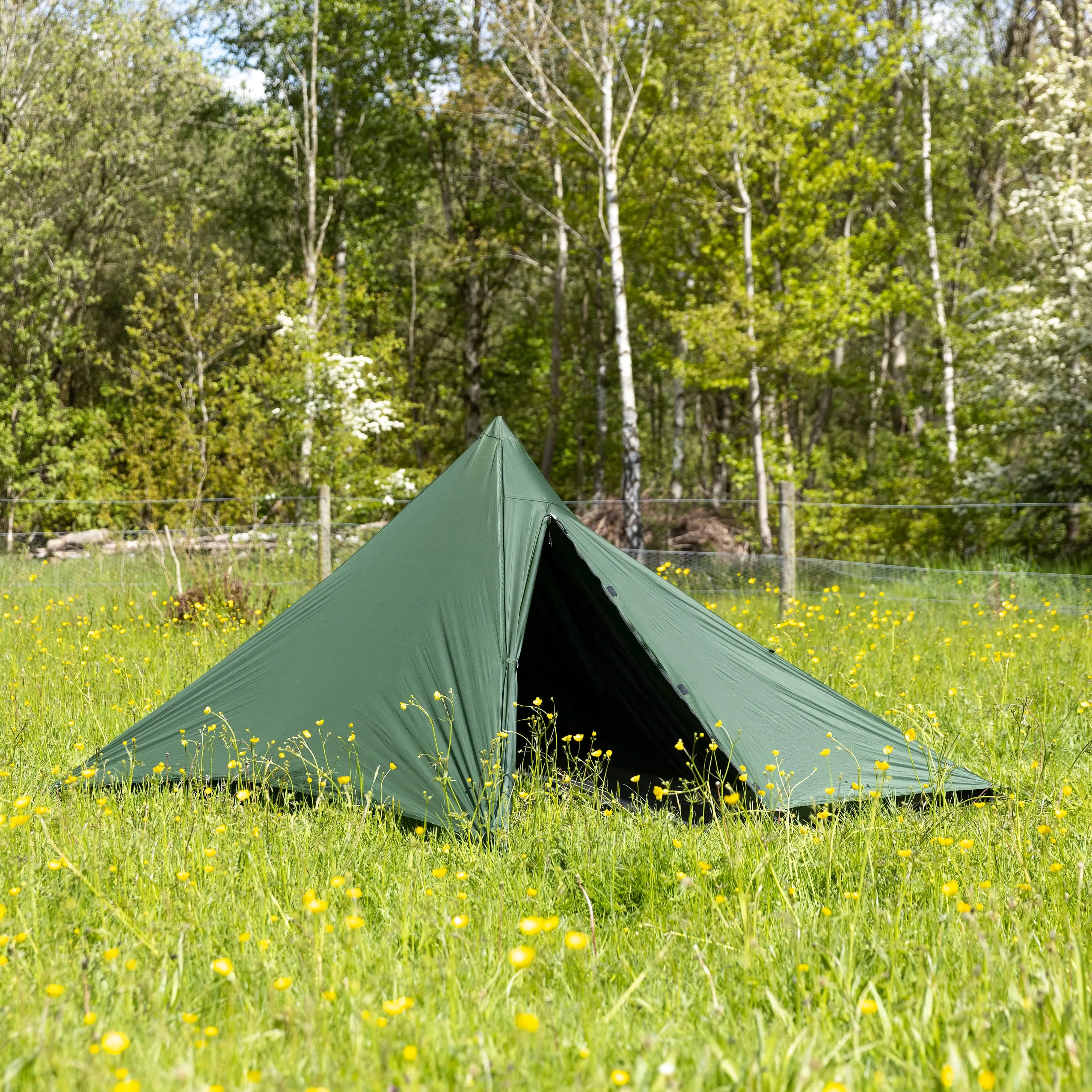 Tarpstar 1