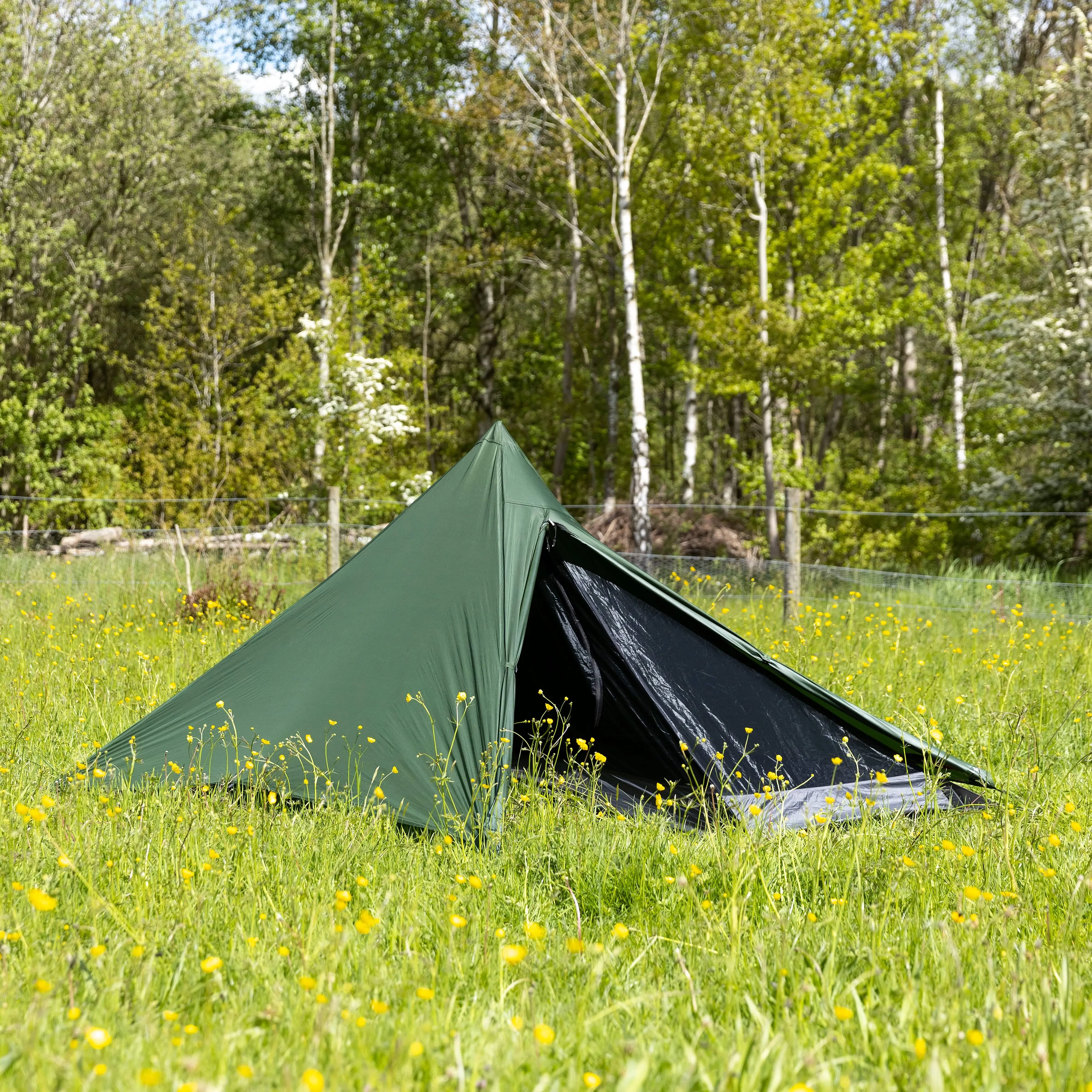 Tarpstar 1